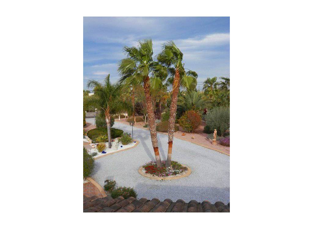 Bestaande woningen - Finca / landgoed - Catral