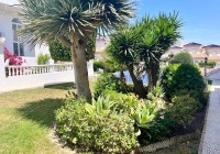 Bestaande woningen - Herenhuis - Ciudad Quesada