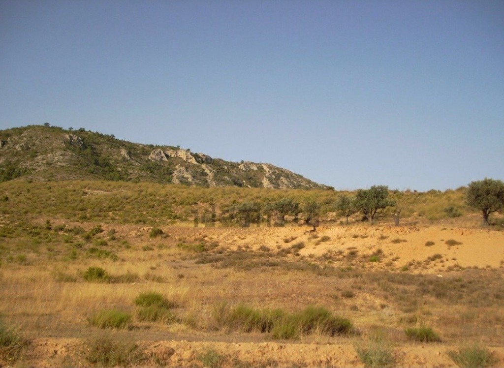 Bestaande woningen - Stedelijk perceel - Villena - 03400