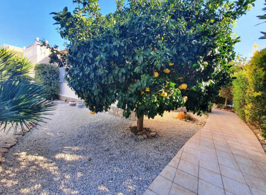 Bestaande woningen - Villa - Ciudad Quesada