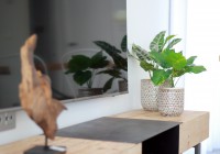 New Build - Duplex - Torre de la Horadada