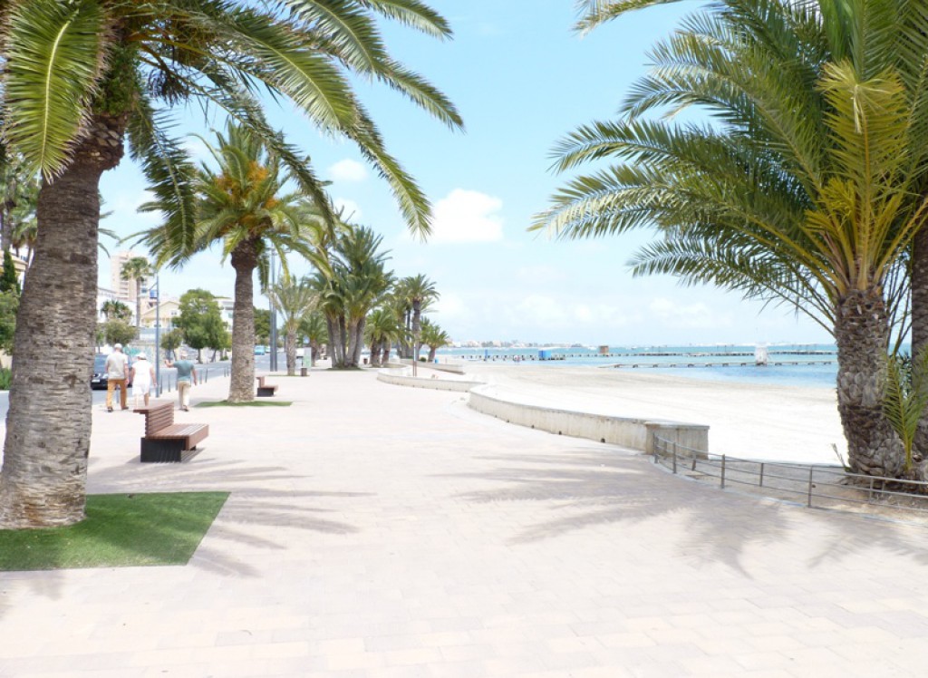 New Build - Quad/Duplex - San Javier