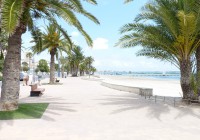 New Build - Quad/Duplex - San Javier