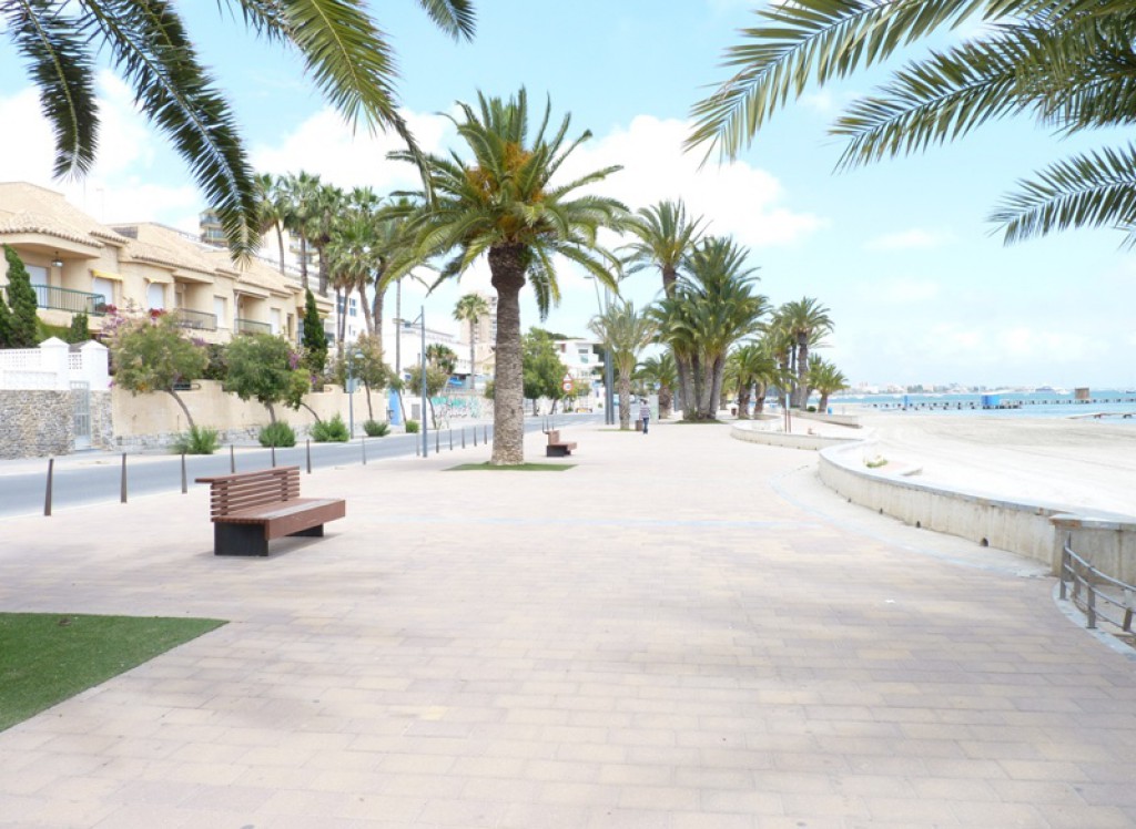 Nueva construcción  - Quad / Duplex - San Javier