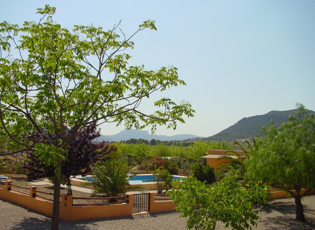 Resale - Finca/Country Property - Alicante Region