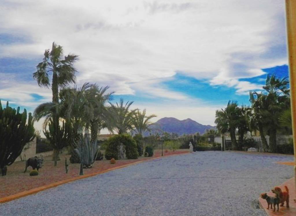 Resale - Finca/Country Property - Catral