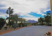 Resale - Finca/Country Property - Catral