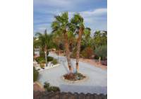 Resale - Finca/Country Property - Catral