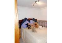 Resale - Finca/Country Property - Catral