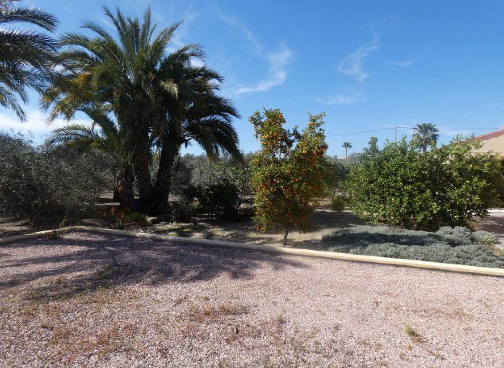 Resale - Finca/Country Property - Catral