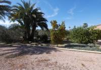 Resale - Finca/Country Property - Catral