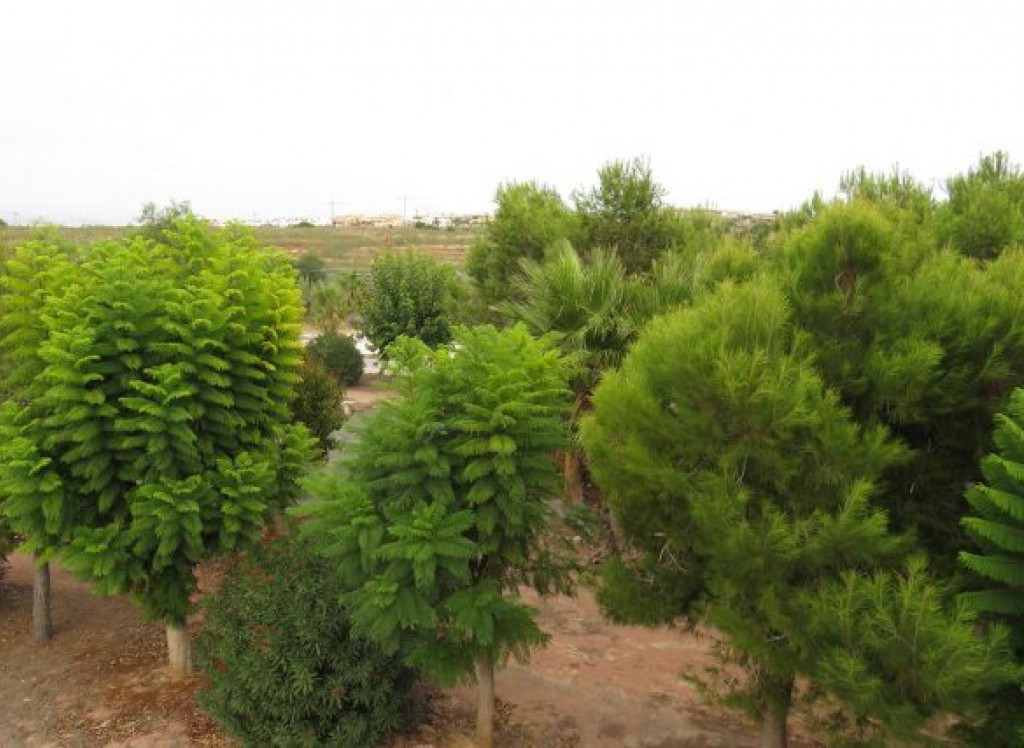 Resale - Villa - Algorfa