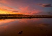 Resale - Villa - La Marina - El pinet