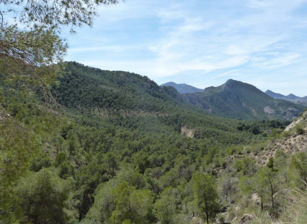 Resale - Villa - Murcia