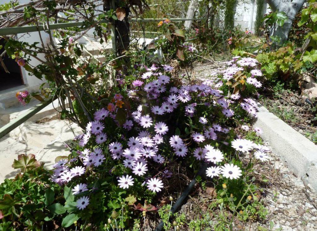 Resale - Villa - Murcia