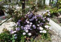 Resale - Villa - Murcia