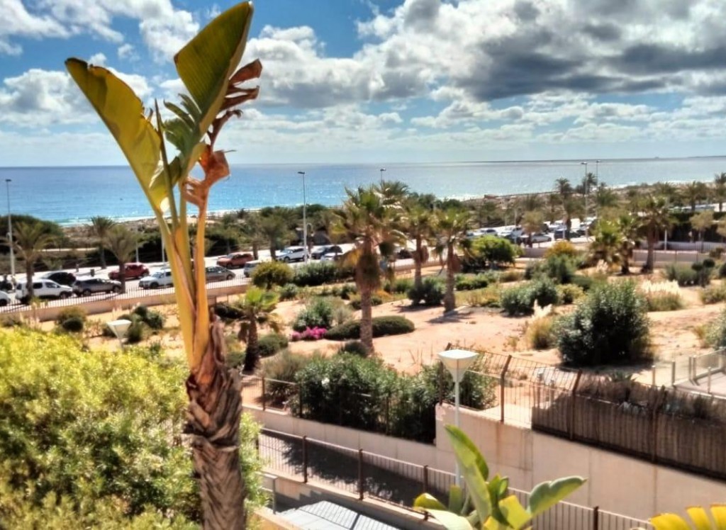 Venta - Departamento - Arenales del sol - Calle albacete