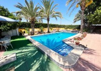 Venta - Finca / Finca - Albatera