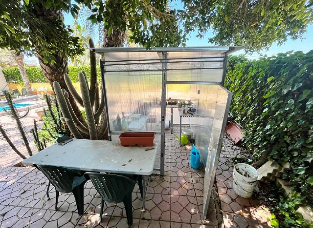 Venta - Finca / Finca - Albatera