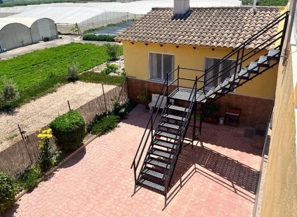 Venta - Finca / Finca - Albatera