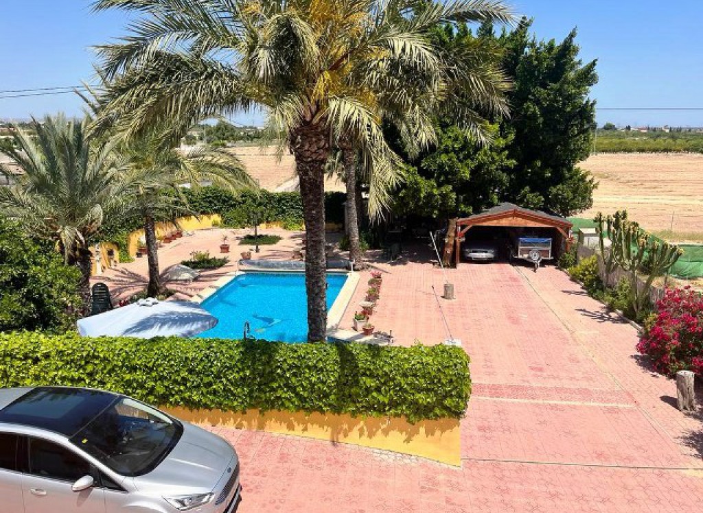 Venta - Finca / Finca - Albatera