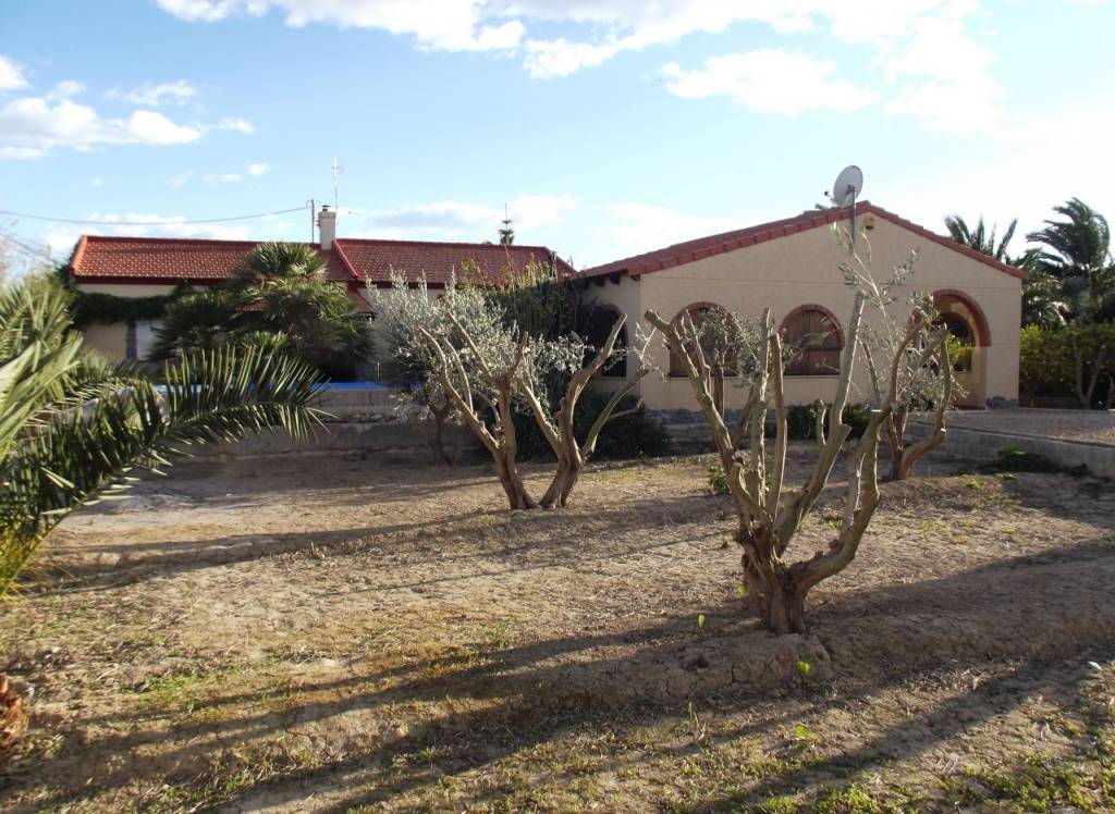 Venta - Finca / Finca - Catral