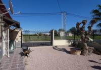 Venta - Finca / Finca - Catral