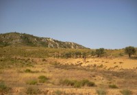 Venta - Parcela urbana - Villena - 03400