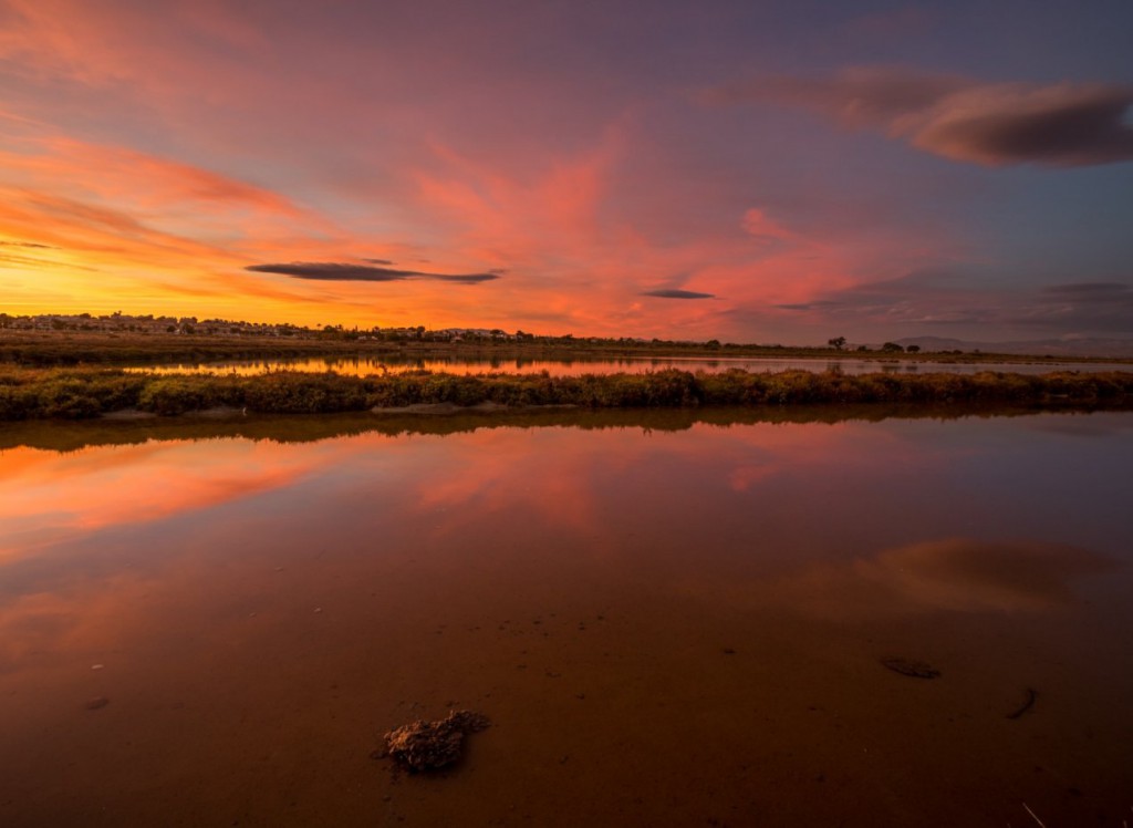 Venta - Villa - La Marina - El pinet