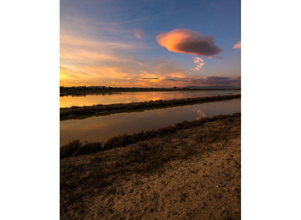 Venta - Villa - La Marina - El pinet