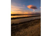 Venta - Villa - La Marina - El pinet